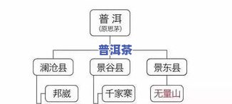 普洱茶生熟茶制茶工艺流程图片大全高清，包含制作工艺与价格信息