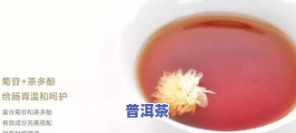 全面解析：青木瓜枸杞普洱茶的功效、作用及禁忌