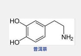 茶叶含有儿茶酚胺吗-茶叶含有儿茶酚胺吗为什么