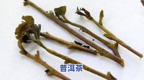 茶叶梗可以塞耳洞吗-茶叶梗能不能塞耳洞