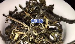 麻黑公社普洱茶怎么样-麻黑寨普洱茶价格