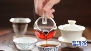 原子普洱茶-源普洱茶