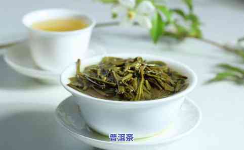 原子普洱茶-源普洱茶