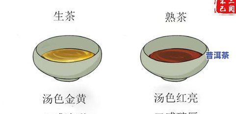 茶叶泡出来上下颜色为啥不一样？底部深色原因解析