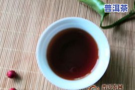 青柑普洱茶什么牌子好？推荐与口感评价