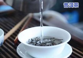 普洱茶存茶罐：开盖香气重正常吗？存放期限及优缺点全解析！