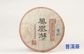 生普的特点和滋味：怎样品鉴出更佳口感与特征?