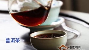 远古普洱茶-普洱 古茶