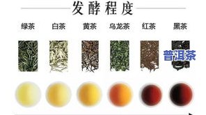 放很久的茶叶能喝吗？有吗？影响健康的因素解析