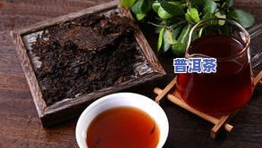 马普洱茶万元茶叶-马普洱茶价格表