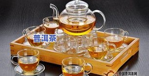 泡普洱茶用什么茶具更好？专业解答茶叶爱好者的选择