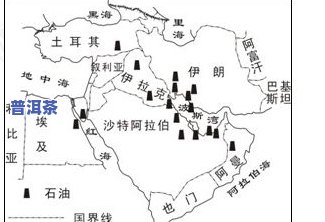 普洱茶的主要产地在哪？探讨其分布情况与特点