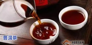 普洱茶细料是什么意思啊-普洱茶细料是什么意思啊图片