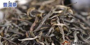 普洱茶存放湿度40度：适宜还是过湿？对茶叶有何影响？