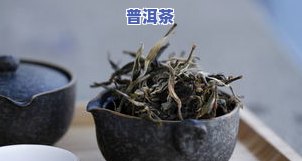 云南普洱茶名牌：十大名牌及古树普洱茶推荐