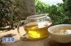 高山云顶普洱茶-云顶峰普洱茶