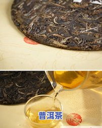 高山云顶普洱茶-云顶峰普洱茶