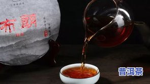 茗茶普洱茶属于什么茶？功效、分类及品鉴全解析