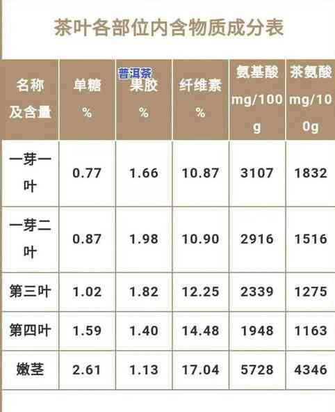 普洱茶更低等级-普洱茶更低等级是多少