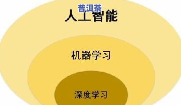 普洱茶在家存储方法全解析：步骤、图片与视频教程