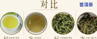 诸城特产茶叶丽明茶价格查询及表