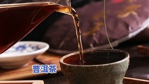 全面熟悉普洱茶：从知识到实践