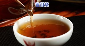 乔木七子饼茶价格：云南乔木七子饼茶多少钱？特点及普洱茶价格解析