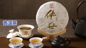 普洱茶本草-普洱茶本草纲目