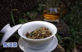 年份久的普洱茶哪种好一点-年份久的普洱茶哪种好一点呢