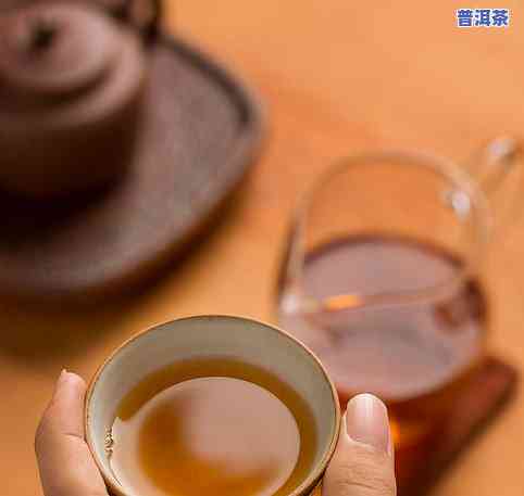 年份久的普洱茶哪种好一点-年份久的普洱茶哪种好一点呢