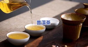 新星普洱茶-新星茶庄普洱茶