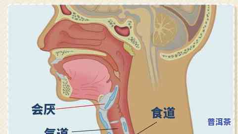 普洱茶喝完吞咽喉咙干疼怎么办？解决方法全解析！