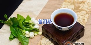 玖玖普洱茶-九玖普洱茶多少钱一饼