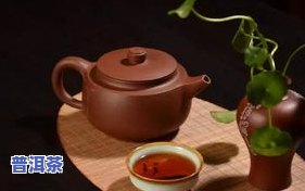 熟普洱茶的能直接泡吗-熟普洱能直接泡茶喝嘛