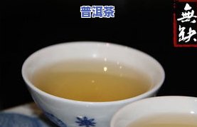 普洱茶新茶-普洱茶新茶有哪些