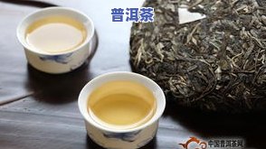 普洱茶接种牛樟芝：作用、好坏与生茶樟香解析