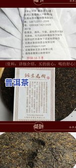 广东老树普洱茶批发价格表大全：最新图片与详细信息