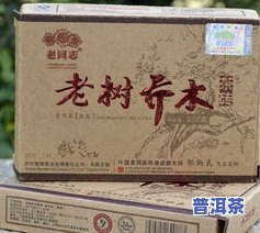 广东老树普洱茶批发价格表-广东老树普洱茶批发价格表最新