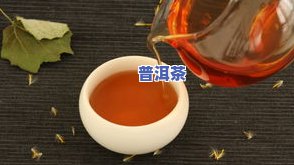 普洱茶茶氲：详解其特有香气与健康功效