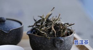 广东老树普洱茶价格及图片-广东老树普洱茶价格及图片大全