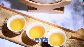 普洱最出名的茶是什么？探讨其种类与特点