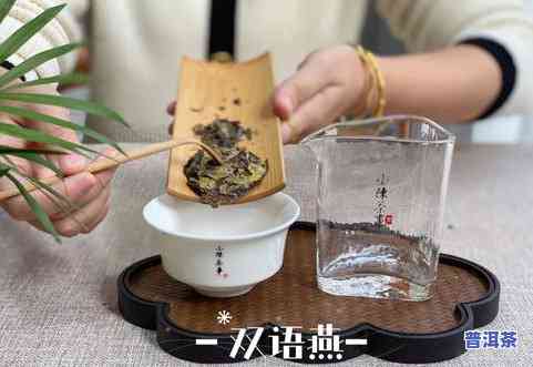 冲泡普洱茶饼：需要用洗茶吗？详解原因与步骤，视频教学