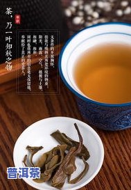 普洱茶饼冰岛价格，探究冰岛普洱茶饼的市场价格