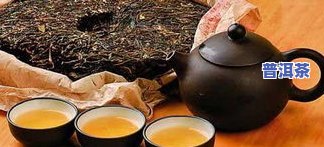 小柑橘普洱茶：是熟茶还是生茶？怎样冲泡？属于哪种茶类？