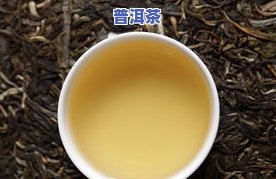 普洱茶：浓淡适中才是更好？探讨普洱茶的浓度与口感