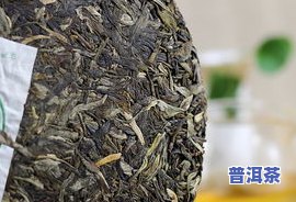 广东老树普洱茶有哪些-广东老树普洱茶有哪些牌子