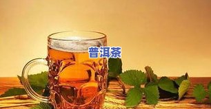 普洱茶之间的区别及其功效探究