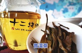 一回生二回熟：普洱茶冲泡技巧与品尝方法全解析