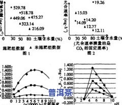 探究茶叶对减肥的作用及其机理