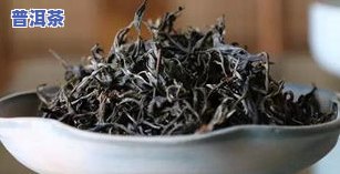 广东十大茶叶排行榜：揭秘更受欢迎的茶品